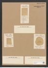 Campylodiscus ecclesianus Grev. (de-Toni-Nr.: Genus 57, Species 2487) Zeichnungen Sammlung Grunow Nr. 4997 (NHMW-BOT-W0373241)